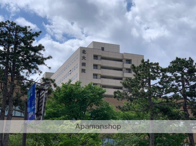 病院　北海道大学病院（病院）まで439m