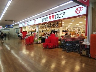 スーパー　ロピア 小田栄店（スーパー）まで443m