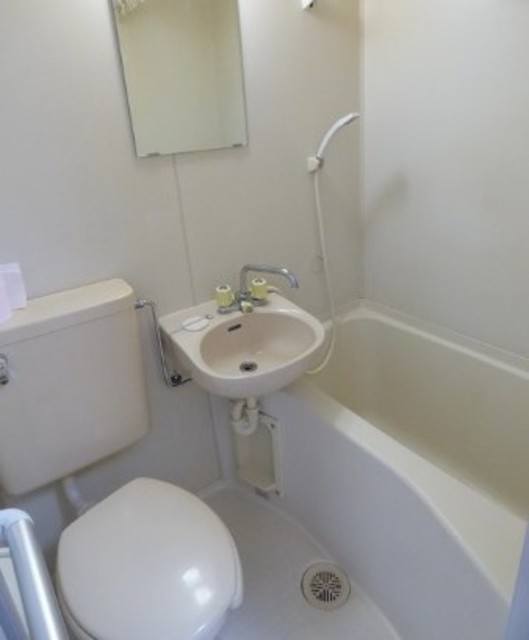 バス・シャワールーム　他部屋参考。