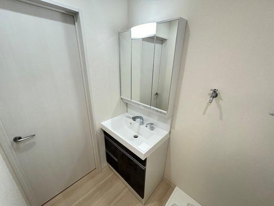 洗面設備　※別号室の写真です