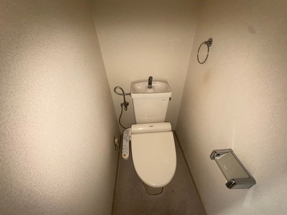 トイレ　※別号室の写真です