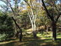 その他　世田谷区羽根木公園（その他）まで805m