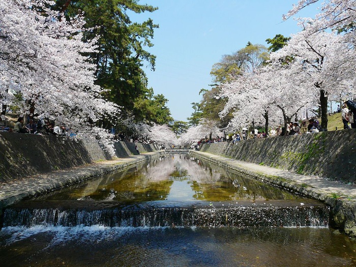 公園　夙川公園（公園）まで150m