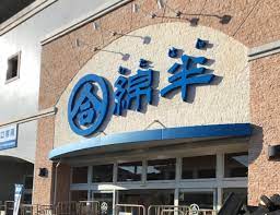 スーパー　綿半フレッシュマーケット 起店（スーパー）まで1029m
