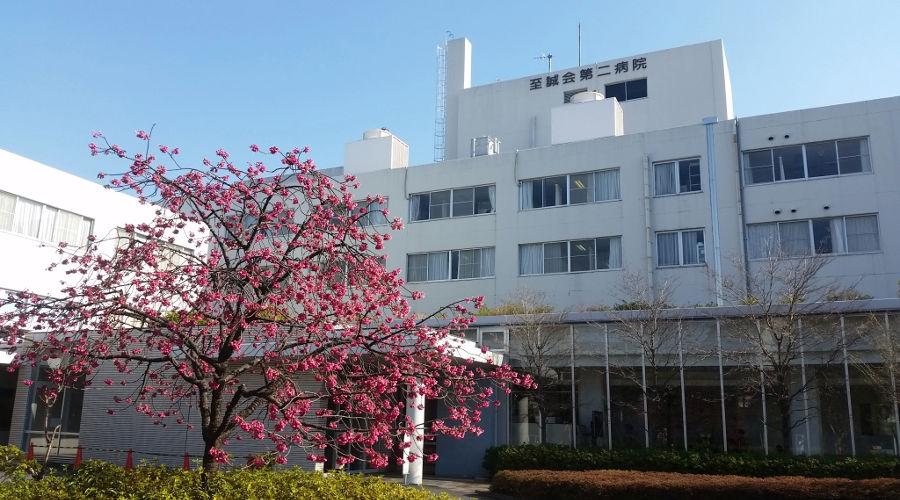 幼稚園・保育園　祖師谷保育園分園（幼稚園・保育園）まで500m