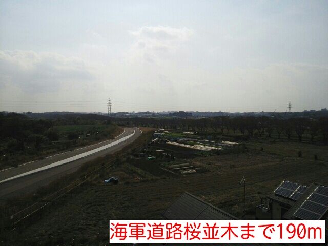 その他　海軍道路桜並木（その他）まで190m