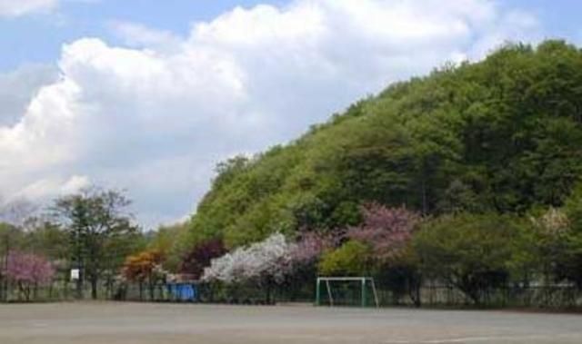 小学校　八王子市立城山小学校（小学校）まで542m