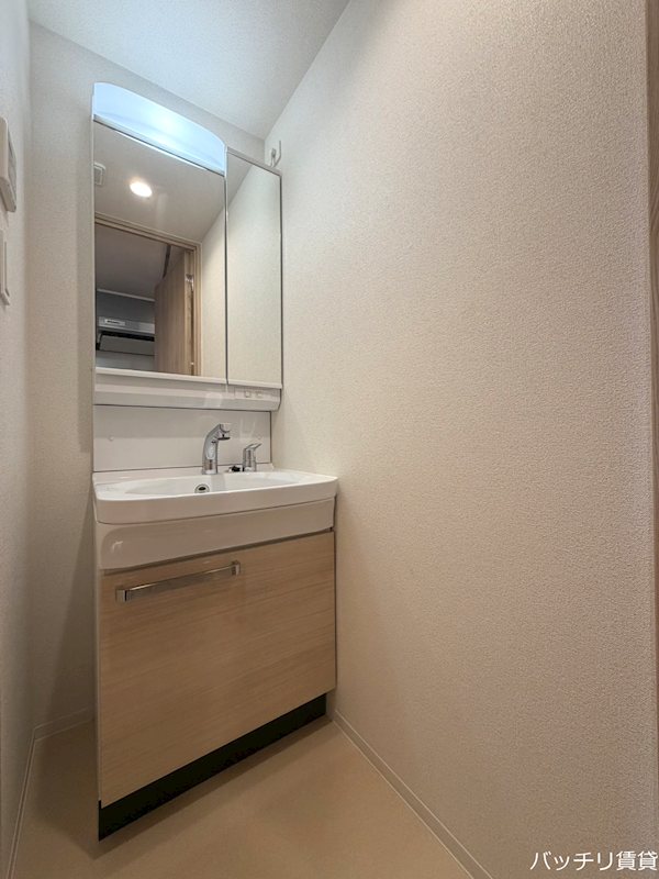 洗面設備　画像は別号室タイプの為現状を優先致します。