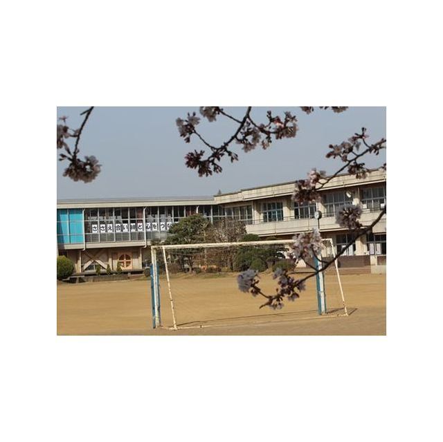 小学校　龍ケ崎市立松葉小学校（小学校）まで220m