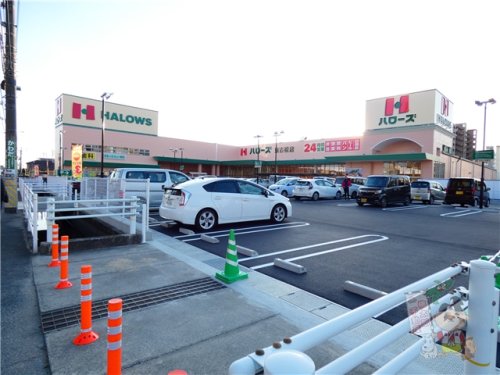 スーパー　ハローズ 東古松店（スーパー）まで511m