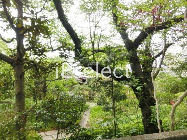 眺望　1階からの景色です