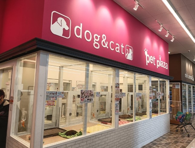 その他　ペットプラザ天王寺店（その他）まで1887m