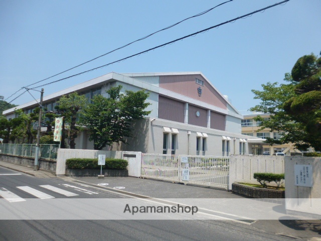 小学校　岡山市立伊島小学校（小学校）まで344m