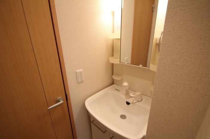 洗面設備　忙しい朝にも嬉しいシャワードレッサー
