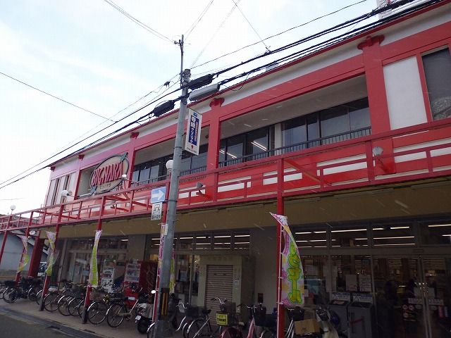 スーパー　（株）ビッグ・ナラ（スーパー）まで1319m