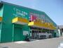 ドラックストア　Fit Care DEPOT梅ヶ丘店（ドラッグストア）まで98m