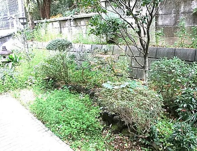 庭