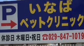 病院　いなばペットクリニック（病院）まで450m