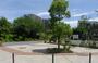 公園　豊住公園（公園）まで196m