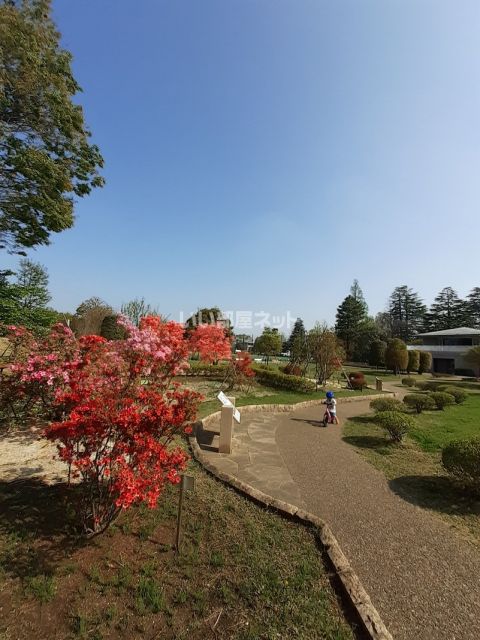 公園　練馬区立石神井松の風文化公園（公園）まで465m