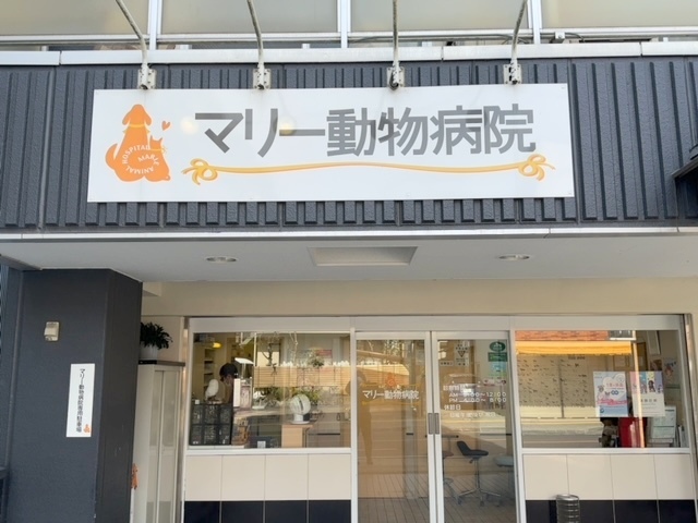 病院　マリー動物病院（病院）まで233m