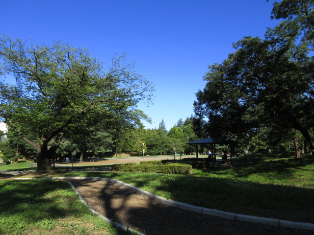 公園　美しが丘公園（公園）まで251m