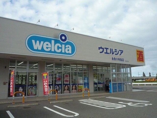 ドラックストア　ウエルシア糸魚川寺島店（ドラッグストア）まで1100m