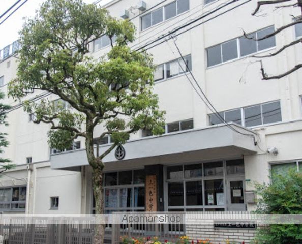 中学校　上一色中学校（中学校）まで232m