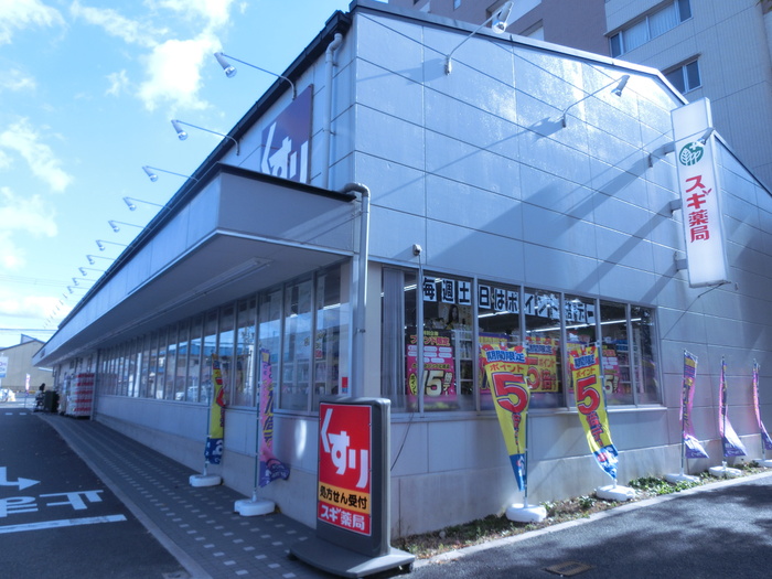 ドラックストア　スギ薬局西大路店（ドラッグストア）まで750m
