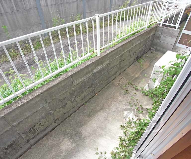 タウニィ・カトレヤの内装写真