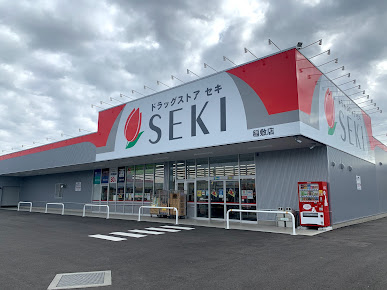 ドラックストア　ドラッグストア セキ 稲敷店（ドラッグストア）まで1382m