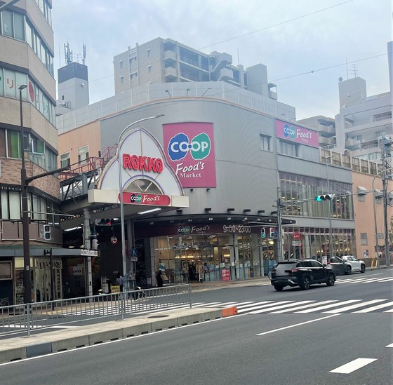 ライオンズマンション六甲口の周辺写真