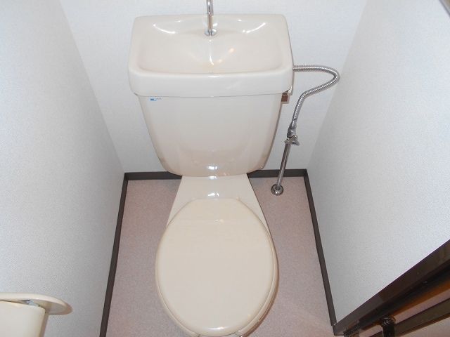 セ・パルフェHINOのトイレ写真