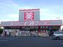ドラックストア　petit madoca(プチマドカ) 船堀店（ドラッグストア）まで391m