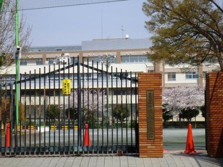 中学校　世田谷区立緑丘中学校（中学校）まで151m