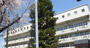 小学校　文京区立窪町小学校（小学校）まで519m