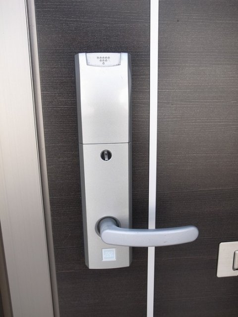 fairyのその他写真