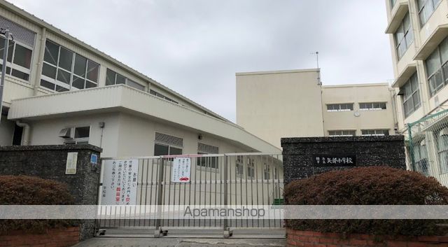 小学校　横浜市立矢部小学校（小学校）まで224m
