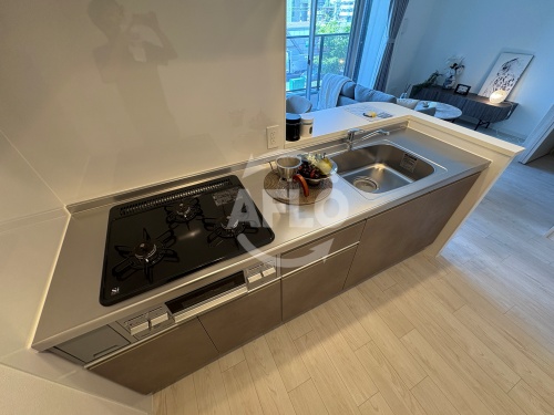 キッチン　Sophia court宿院　キッチン