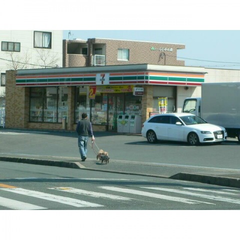 コンビニ　セブンイレブン浜松蜆塚4丁目店（コンビニ）まで252m