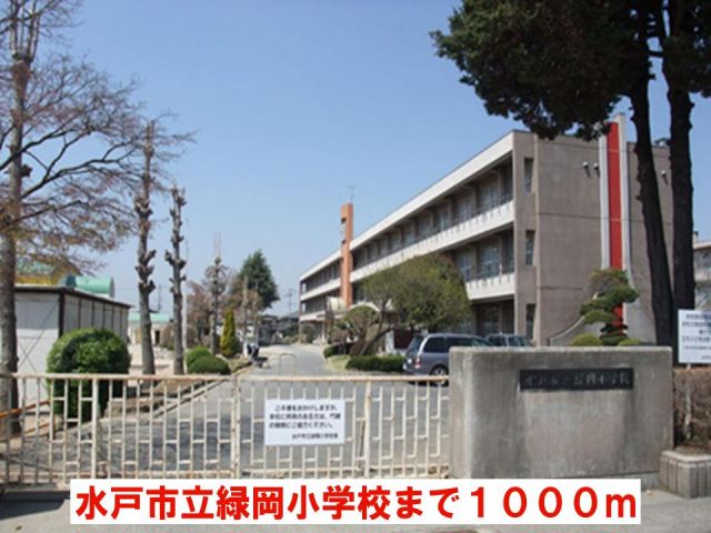 小学校　水戸市立緑岡小学校（小学校）まで1000m