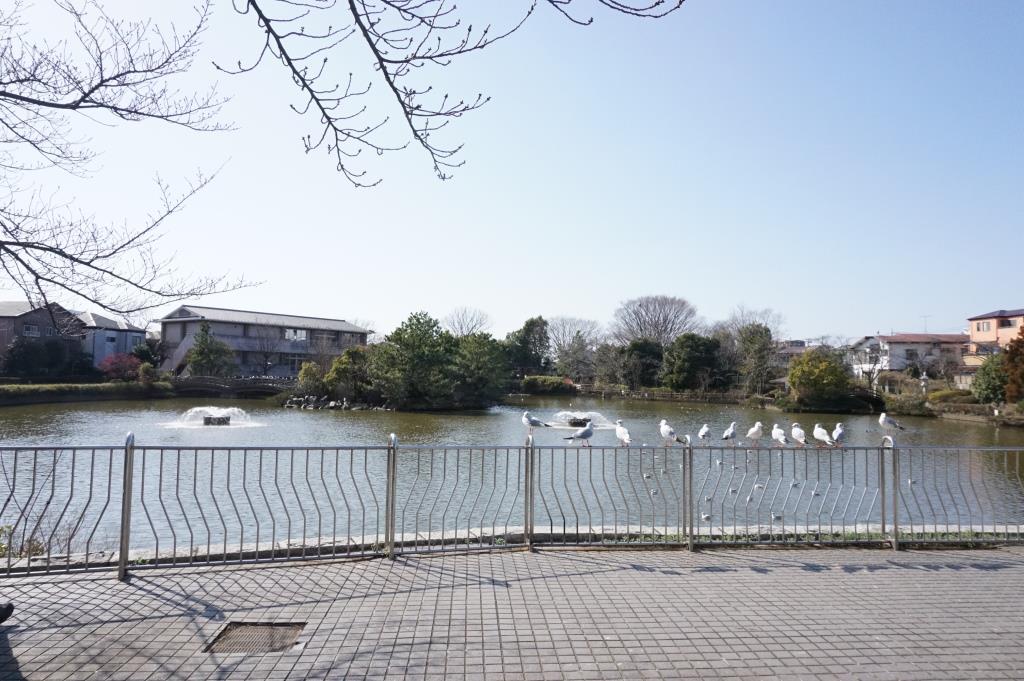 公園　大池親水公園（公園）まで496m