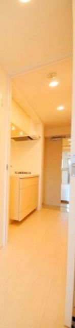 玄関　※同タイプの別部屋の写真です。