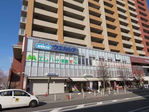 ドラックストア　ウエルシア河内花園駅前店（ドラッグストア）まで323m