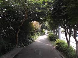 公園　小茂根三丁目緑地（公園）まで316m