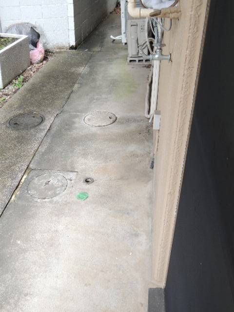 庭