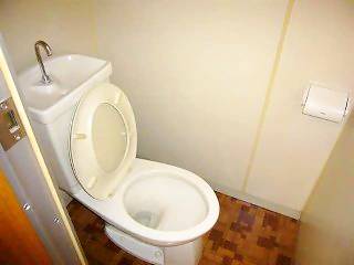 トイレ　トイレは落ち着けないと困りますよね☆