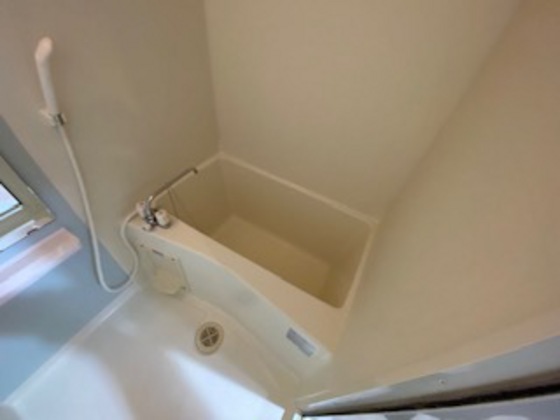 バス・シャワールーム　※別部屋の写真です