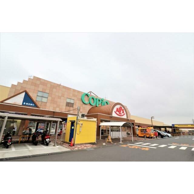 ショッピングセンター　スーパーアルプス　愛川店（ショッピングセンター）まで2036m