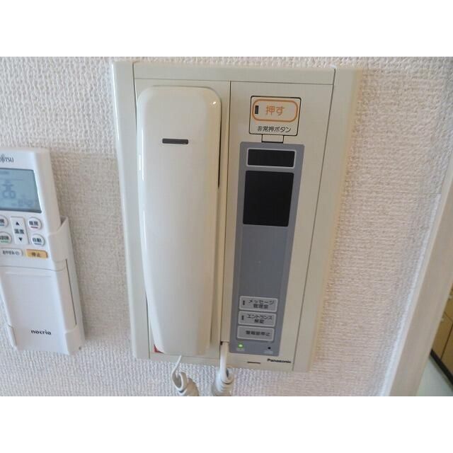 サングランパのその他写真
